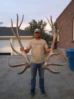400-inch-plus-set-of-elk-shed-antlers.jpg 400-inch-plus-set-of-elk-shed-antlers.jpg