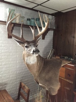 2016-07-09 17.26.11.jpg