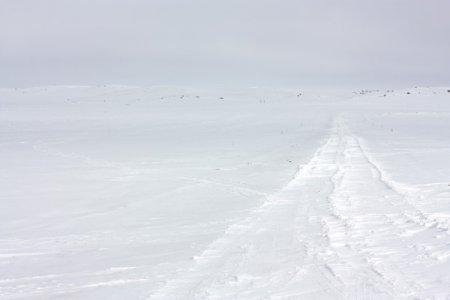 North-Dakota-winter-2010_4368977316_o.jpg North-Dakota-winter-2010_4368977316_o.jpg