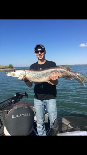 IMG_6764.jpg IMG_6764.jpg