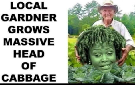 1700172456559.png 1700172456559.png