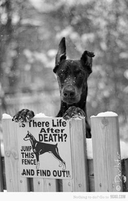 14051795_1848284228728789_5249492891173983263_n.jpg 14051795_1848284228728789_5249492891173983263_n.jpg