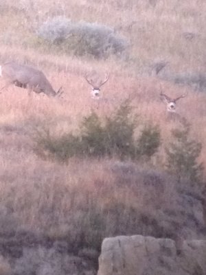 IMG_1140.jpg IMG_1140.jpg