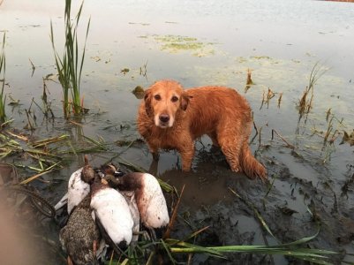 IMG_1416.jpg IMG_1416.jpg