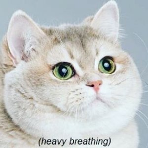 tumblr_o6ad6kcsTO1s6y60ho1_400.jpg tumblr_o6ad6kcsTO1s6y60ho1_400.jpg