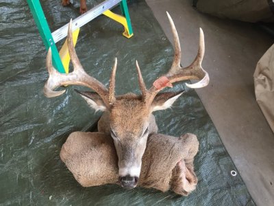 IMG_0285.jpg IMG_0285.jpg