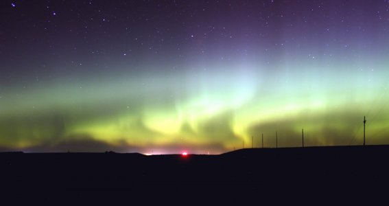 075 (2)_filtered.jpg