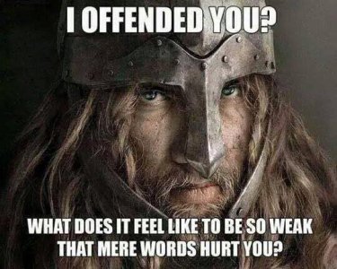 condescending-viking.jpg
