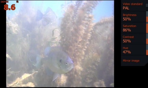 shot019.jpg shot019.jpg