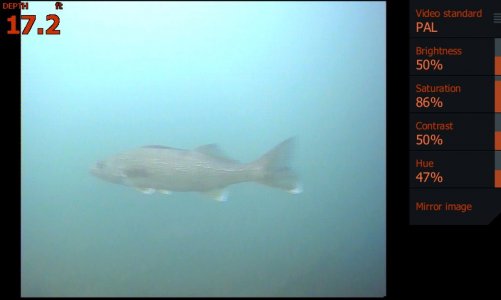 shot003.jpg shot003.jpg