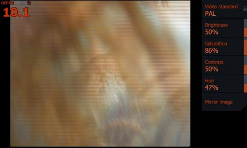 shot009.jpg shot009.jpg