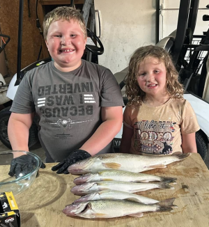 Screenshot 2025-09-24 at 2.53.22 PM.png