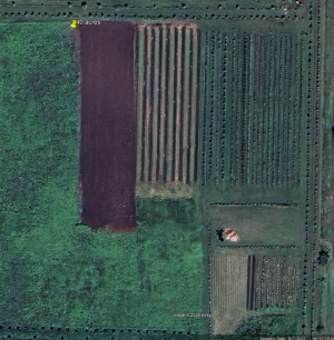 Screenshot 2026-05-04 122856.png