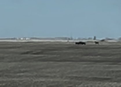 IMG_2784.jpeg