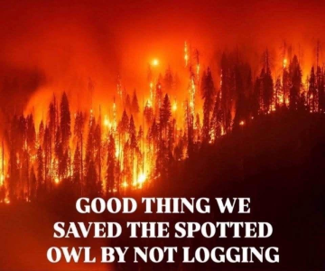 1785808788992.png