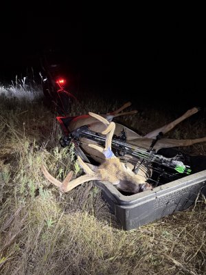 big six down1.jpg