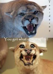 IMG_20190224_195753.jpg