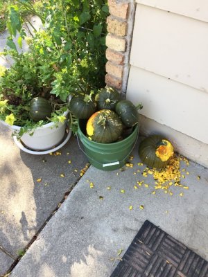 2016-10-10 15.10.46.jpg 2016-10-10 15.10.46.jpg