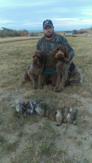 IMAG5524.jpg IMAG5524.jpg