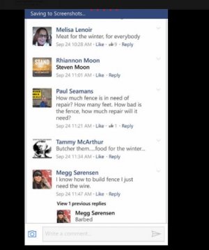 butchered animals 3.jpg