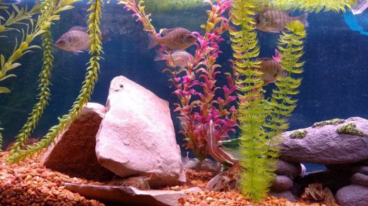 IMG_20150821_215926082.jpg IMG_20150821_215926082.jpg