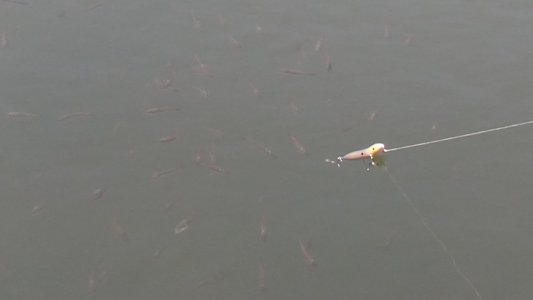 Screenshot_2016-07-21-23-02-35.jpg Screenshot_2016-07-21-23-02-35.jpg