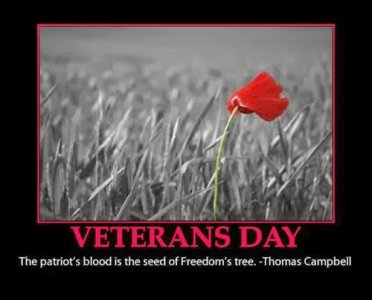 unique-veterans-day-quotes-thank-you-sayings-3.jpg