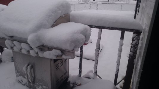 IMG_20161128_110210125.jpg IMG_20161128_110210125.jpg