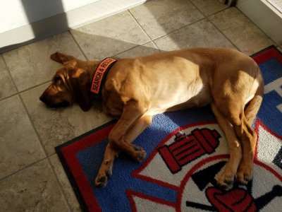 20161121_091745.jpg 20161121_091745.jpg