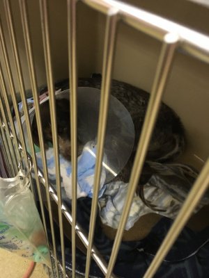 IMG_2214.jpg IMG_2214.jpg