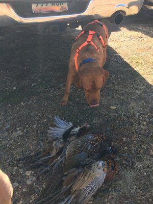 IMG_1204.jpg IMG_1204.jpg