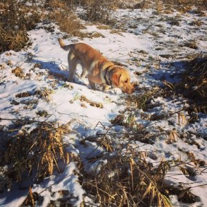 IMG_3050.jpg IMG_3050.jpg