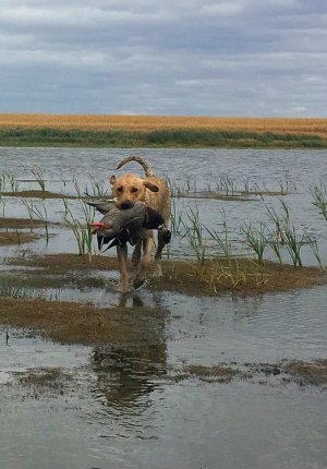 IMG_2778.jpg IMG_2778.jpg