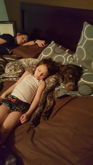 20160219_010635.jpg 20160219_010635.jpg