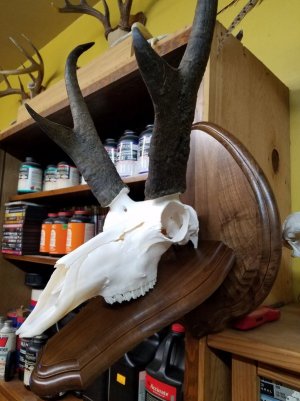 20161113_010536.jpg 20161113_010536.jpg