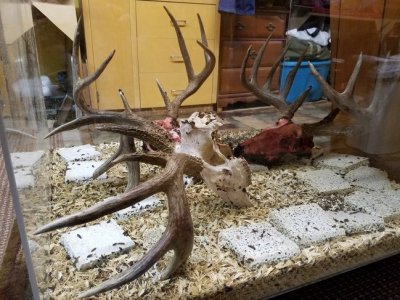 20161124_160151 (1).jpg 20161124_160151 (1).jpg