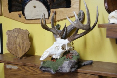 DSC06201.jpg DSC06201.jpg