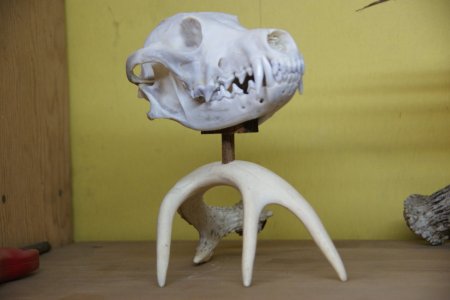 DSC06211.jpg DSC06211.jpg