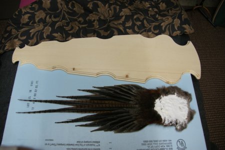 DSC06252.jpg DSC06252.jpg