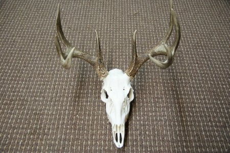 DSC06258.jpg DSC06258.jpg