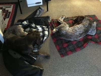 IMG_2218.jpg IMG_2218.jpg