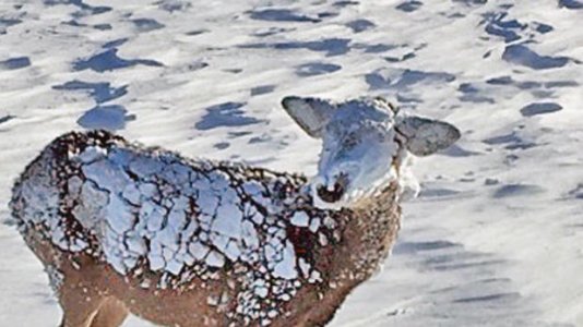 IMG_2912.jpg IMG_2912.jpg