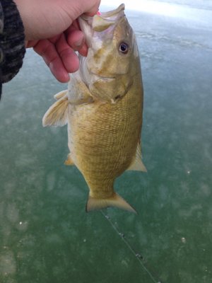 IMG_0750.jpg IMG_0750.jpg