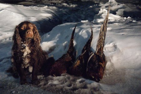 DSC06512.jpg DSC06512.jpg