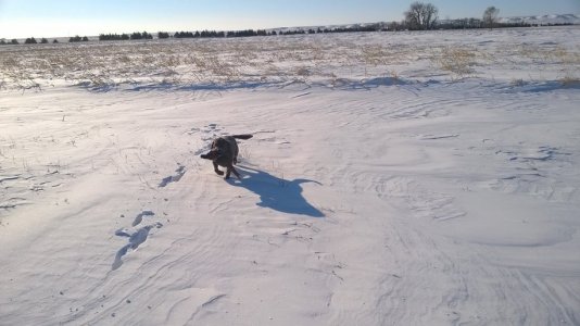 WP_20161217_002.jpg WP_20161217_002.jpg