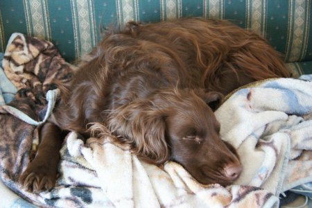 DSC06558.jpg DSC06558.jpg