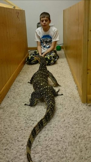 Screenshot_2016-12-27-22-25-19.jpg Screenshot_2016-12-27-22-25-19.jpg