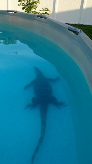 Screenshot_2016-12-27-22-25-36.jpg Screenshot_2016-12-27-22-25-36.jpg