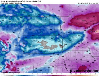 snku_acc.us_nc (11).jpg