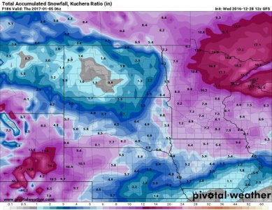 snku_acc.us_nc (12).jpg snku_acc.us_nc (12).jpg